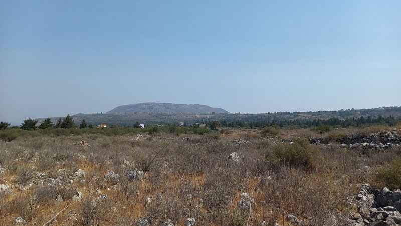 08072117