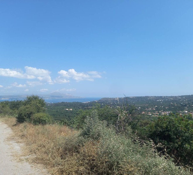 εικόνα_Viber_2023-06-13_13-15-51-128