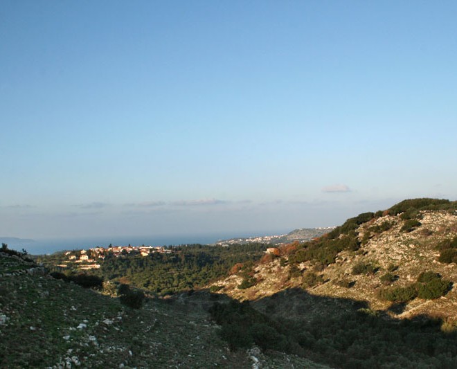 xalepa2