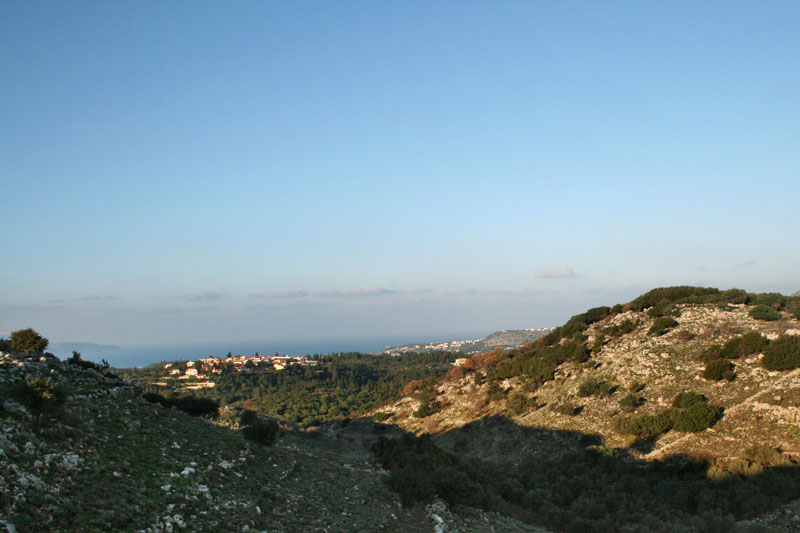 xalepa2