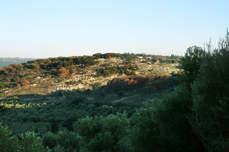 xalepa3