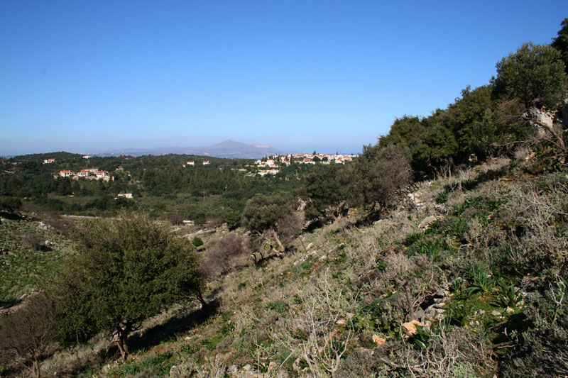 xalepa5