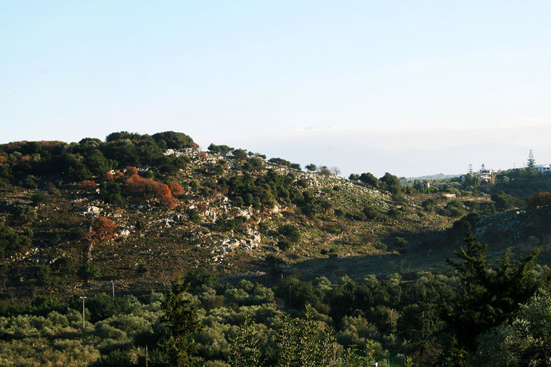 xalepa8